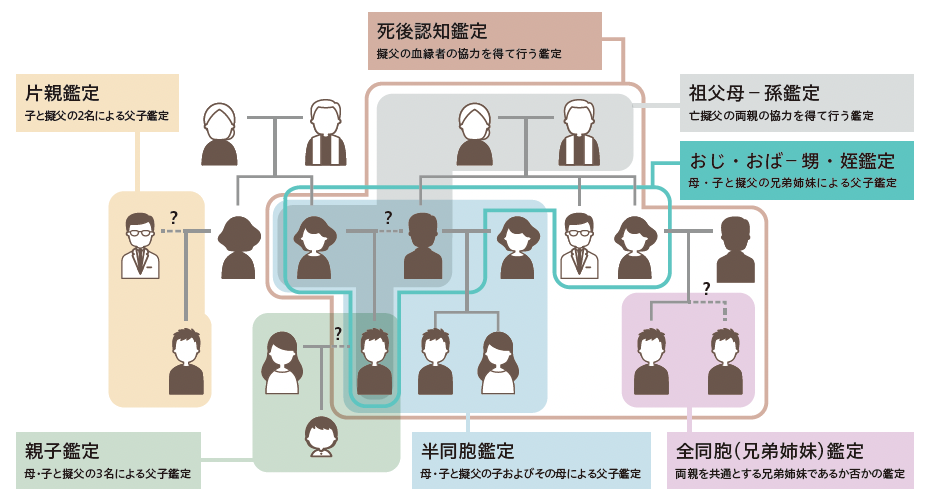 図3 DNA親子鑑定の種類