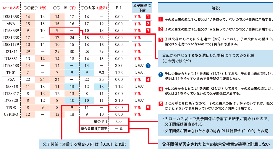 否定例 解説