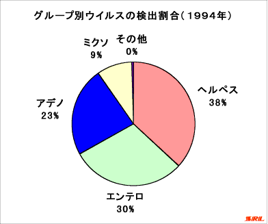 グループ別のウイルス検出割合(1994年)
