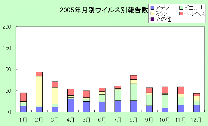 5-20051.gif (10296 バイト)